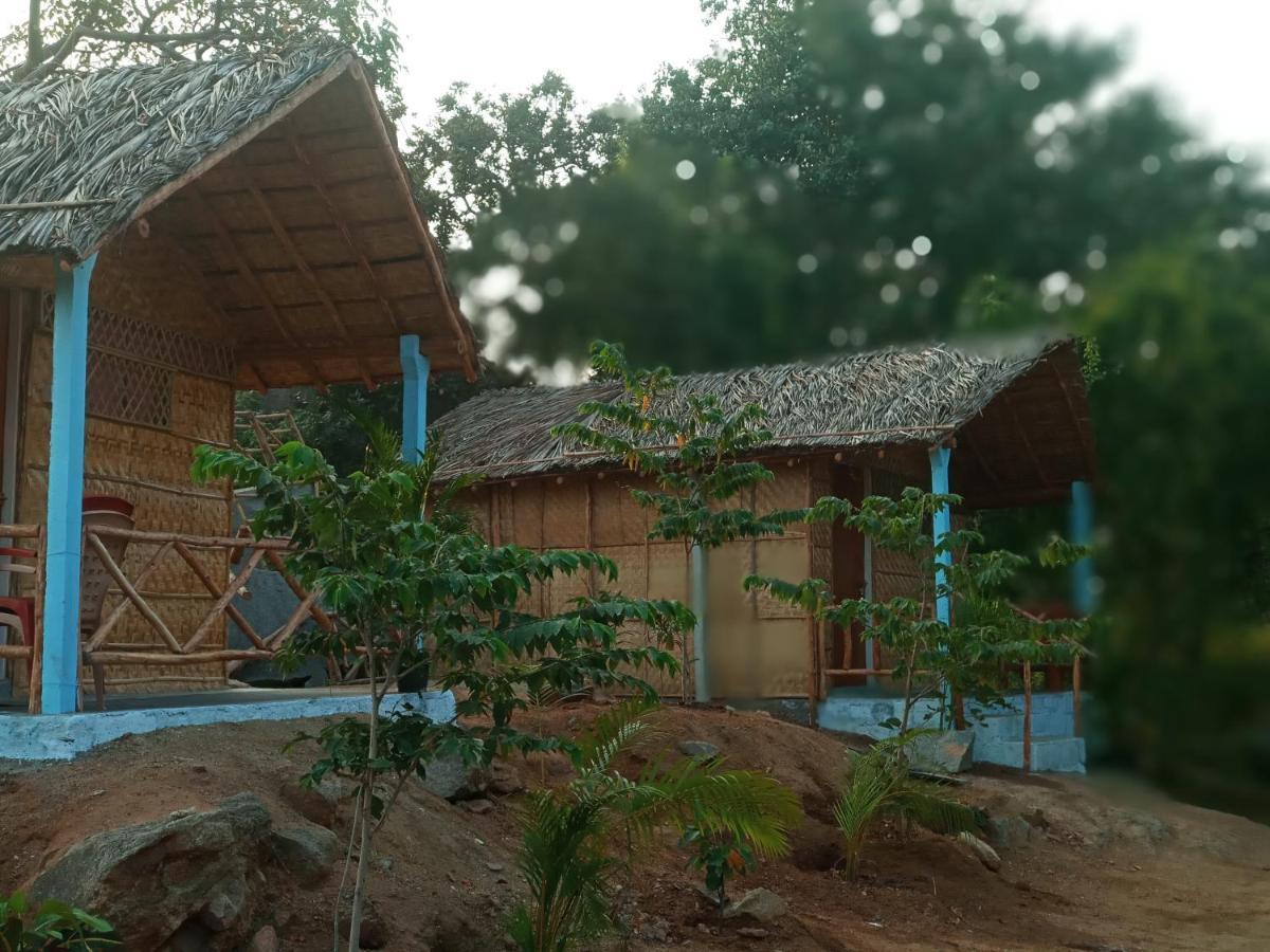 Hampi Nature Cottage מראה חיצוני תמונה