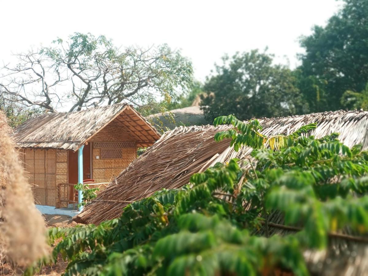 Hampi Nature Cottage מראה חיצוני תמונה